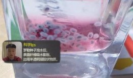 网红糖果爆料视频